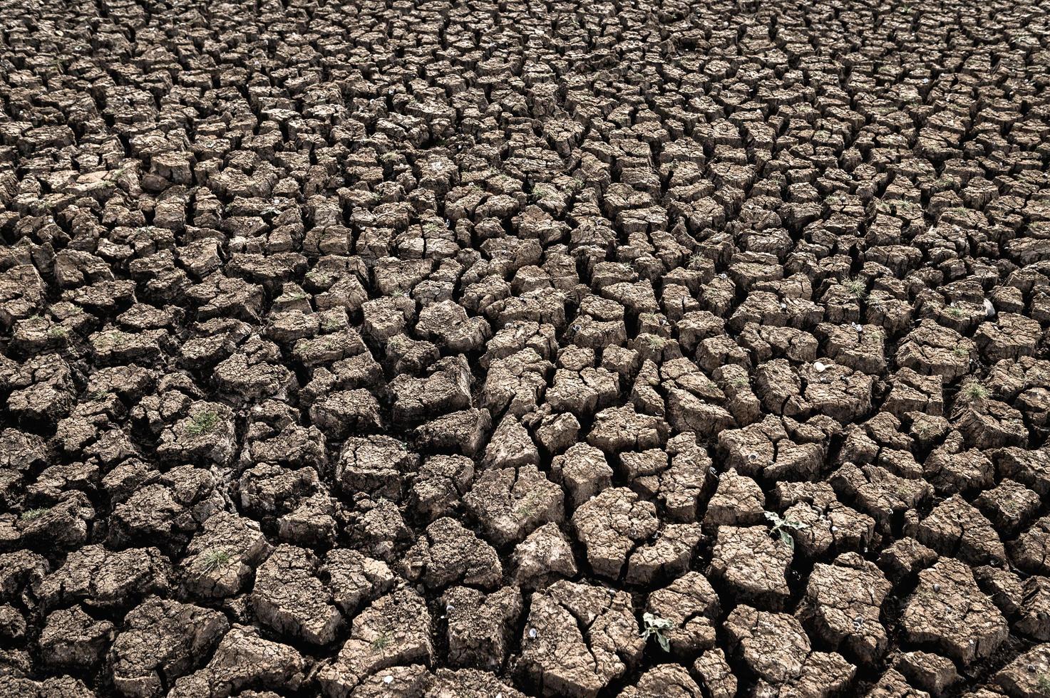 Sécheresse extrême - sol craquelé