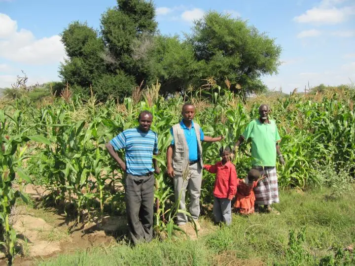 Ferme prospère après intervention