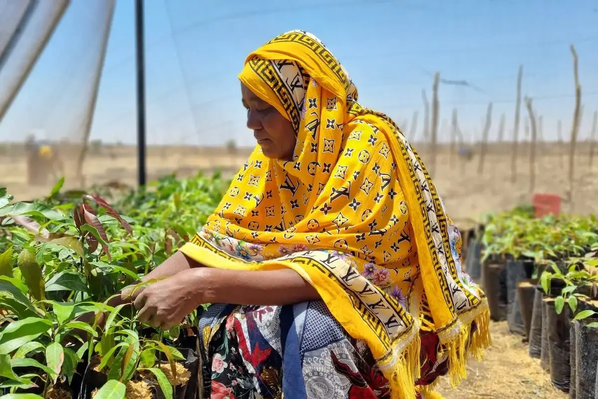 Femmes agricultrices au travail